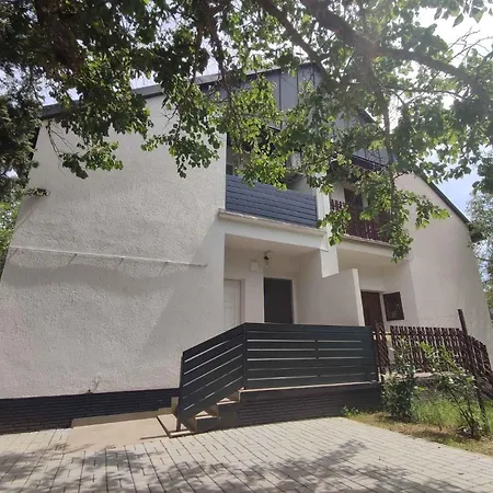 In - Balaton 45332 Ferienhaus Vonyarcvashegy