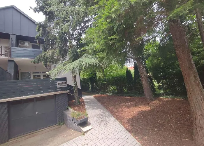 In - Balaton 45332 * פוניארצוושהג'